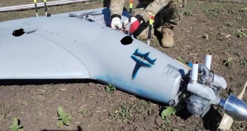 Дрон-камікадзе БМ-35, дельтаподібне крило