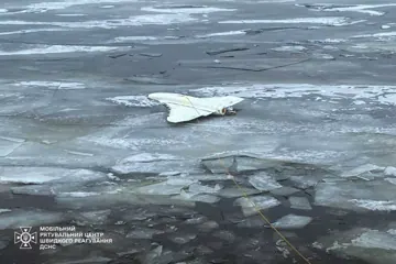 «Гербера» вилучена з водойми, Київщина