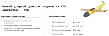 Макет дрона-камікадзе «Ласточка» (КБ Стратім)