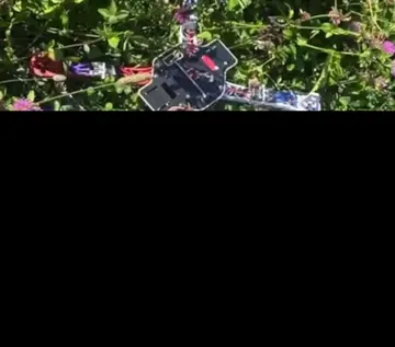 9-дюймовий FPV «Осоїд» із сіткою