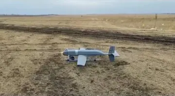 Пчілка ймовірно у зоні бойових дій